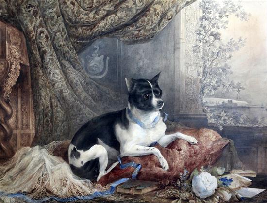 James Howard Burgess (1817-1890) Portrait of a toy terrier or Chihuahua seated upon a cushion, 20 x 27in.